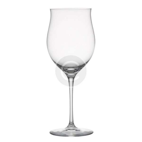 Tulip Wine Glasses - Image 2